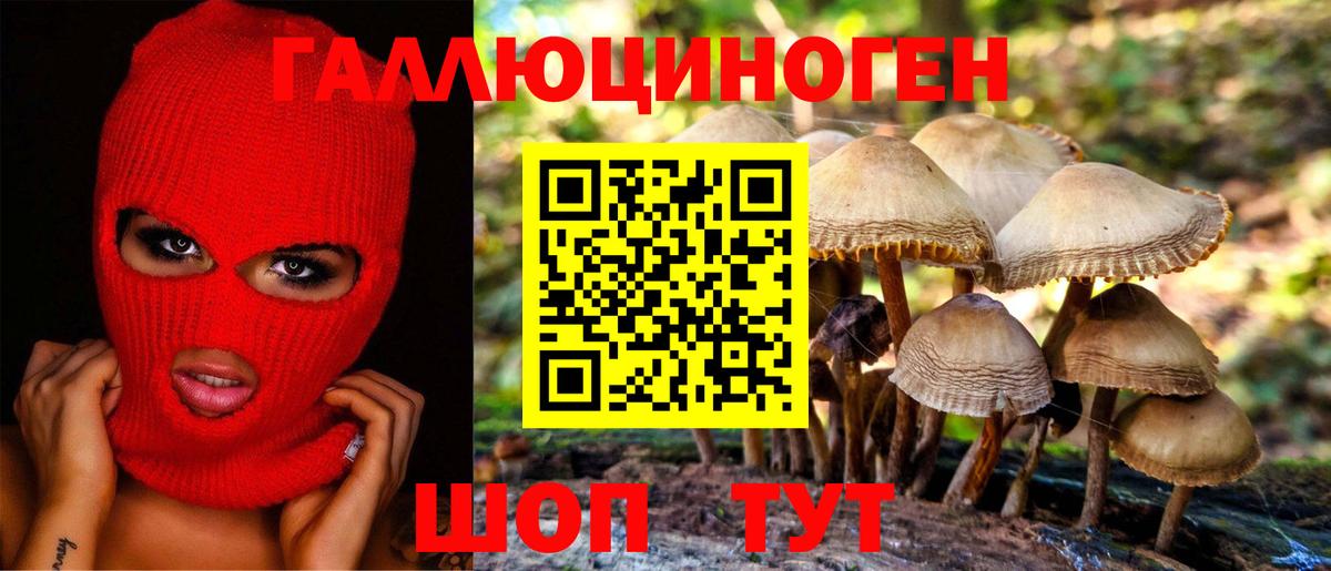 Псилоцибиновые грибы прущие грибы  Вход с VPN  Видное 